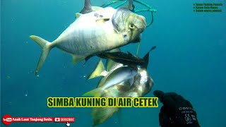 BERBURU ikan karang, Spearfishing, Anak Laut TanjungSetia - Peisirbarat Lampung