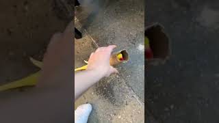 Funny Parrots Going Crazy - Cutest Parrots Compilation