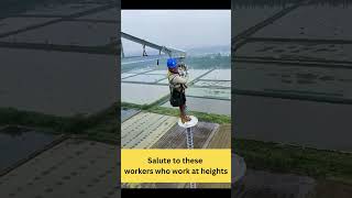 Salute to these workers who work at heights #shorts #workingatheight #salute #incredibleworkers