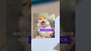 Массовые блокировки карт усиливаются 😱 Как работать? #криптовалюта #арбитражкрипты #крипта