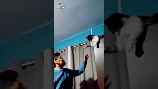 Cat vs. Owner Spit-tacular Showdown 😼😂 #FunnyCats#funny #funnyanimals #funnyvideos