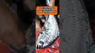 CARA BERSIHKAN  IKAN HASIL PANCING #fishing #ikan #masakikan #bersihkan