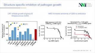 Generation Next of HMOs: the breakthrough research - Ryan Carvalho