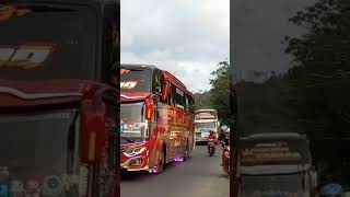 kupu kupu ayu(kiano)mengular di jalur selatan full basury🐍🐍