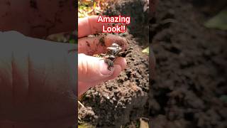 Girl's Silver Ring Found Metal Detecting #shorts #treasure