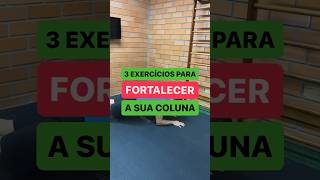 3 exercícios para FORTALECER a sua coluna