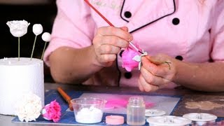 How to Paint a Peony | Sugar Flowers