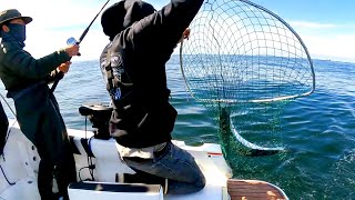 Bay Area Salmon OPENER! Netting is STRESSFUL!!!