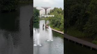 Singapore beautiful nature 2024 #singapore #gardenbythebay