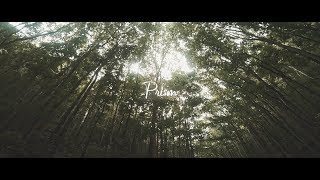 Bohol × Panglao – Prism | Cinematic Travel Video | Fujifilm X-H1