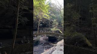 Hocking Hill State Park #hockinghills #ohio #goldendoodle #hike #midwest