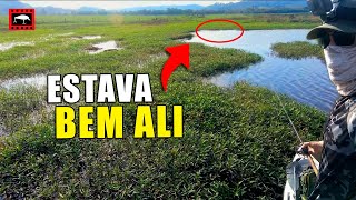 ELA ESTAVA ALI SÓ ESPERANDO ATACAR  | Pescaria de traíras com Caiaque Caiman 100