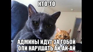 Я чист! Котэдмэн проверил!