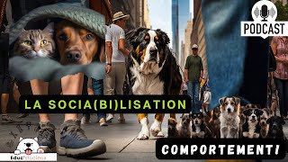 Comment sociabiliser & socialiser son chiot ?