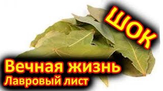 Зажгите дома один лавровый листок и поразитесь результату