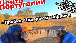 ЦЕНТР ПОРТУГАЛИИ! ПРОБКА - ПОДАРОК ИЗ АФРИКИ!! ПОРТУГАЛИЯ22. ДЕНЬ 23