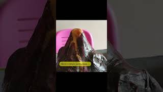 Volcano working model | Educational crafts #shorts #youtubeshorts #viral #projects