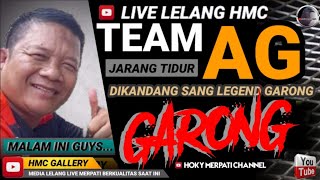 LIVE LELANG TEAM AG JARANG TIDUR SERANG BANTEN//MERPATI LOVERS//NEW RAMPOK//MERPATI BARON OFFICIAL