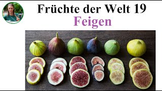 Früchte der Welt 19 – Feigen Pflanzliche Rohkost