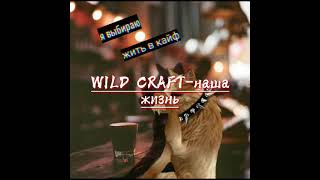 ДЛЯ WILD CRAFT (By софи game)