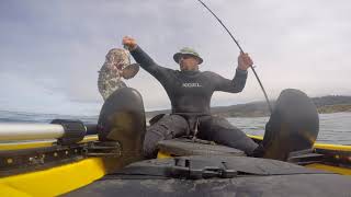 Gray whale encounter while kayak fishing