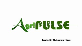 AGRI-PULSE Maize Crop Management Part 2