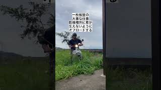 一枚板屋の夏場の重要な仕事。