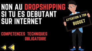 Non Au Dropshipping Si Tu Es Debutant Sur Internet