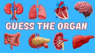 Guess The Organ | Body Parts |  Quiz For Kids |  Human Body | Quizzy Kido