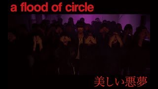 【Music Video】美しい悪夢 - a flood of circle