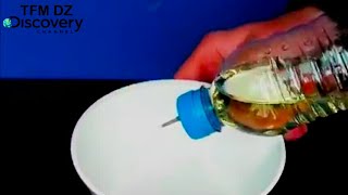 طريقة إبداعية لصنع قارورة زيت
An innovative way to make an oil bottle