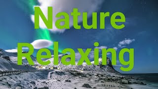 Beautiful Relaxing Forest 4K Nature | Relaxing Music | Nature Sounds of Jungle, Stress Relief.