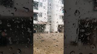 #rain #rainyday #raindrops #chill #monsoon #water #ilaiyaraja #chennai