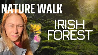 Irish Forest Walk In Kildare