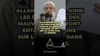 Bonne nouvelle pour les musulmans! #islam #raslan