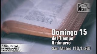 Reflexión del santo Evangelio Domingo 15 del tiempo ordinario Panis Vitae 12 07 2020