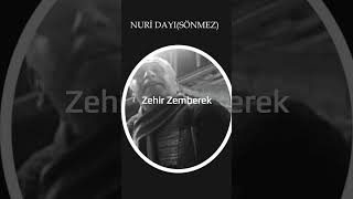 YİNE AKLIMA DÜŞTÜN [ ZEHİR ZEMBEREK] - NURİ SÖNMEZ