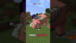 minecraft mystery of mob zoglin...