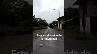 Naturaleza #shortsyoutube #travelshorts #naturaleza #jungle #aves #cantodeaves