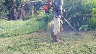 Backyard grass mowing with Ogawa BG328