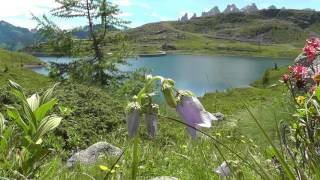 Cavia Lake