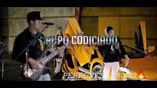 Grupo Codiciado - La Kenyiza Y Representando A Sinaloa (Video En Vivo) (2017) - "EXCLUSIVO"