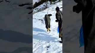 Snow Sliding of Kids after Fresh Snowfall #kashmir #snow #culture #kalaroos #kupwara