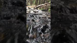 Short# running water# running water sounds#relaxing water running sounds#