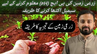 |How to collect soil pH sample in Agriculture land||Mr Sohaib Agrarian