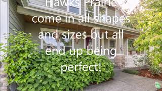 Hawks Prairie backyards | Lacey WA | Buy your next home here!