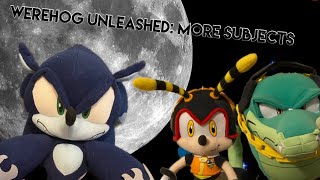 Sonic Plush | Werehog Unleashed: More Subjects (PART 3)