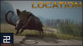 Assassin's Creed Odyssey | The Erymanthian Boar | LEGENDARY Location