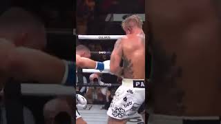 Nate Diaz gets dropped by Jake Paul