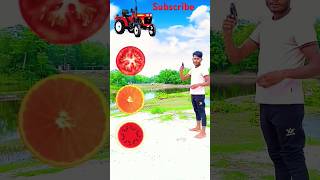 13 Jun 2024, Cutting spining fruits to Tractor, Jcb, Roller and Thar - Vehicles names magic videos